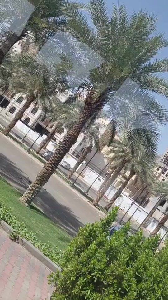 TikTok video thumbnail by a.seel322