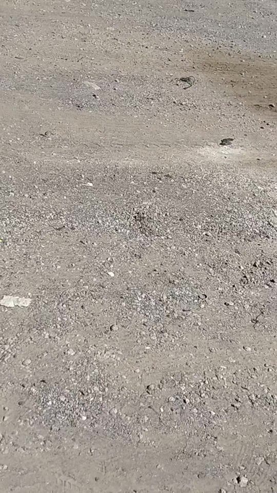 TikTok video thumbnail by rancheras.bonitas