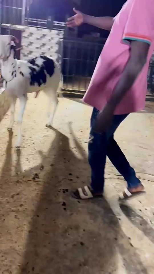 TikTok video thumbnail by mamecheikh_lo