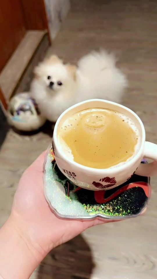 TikTok video thumbnail by xoxokwt