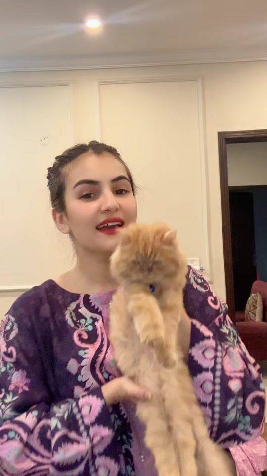 TikTok video thumbnail by aroojmehar071