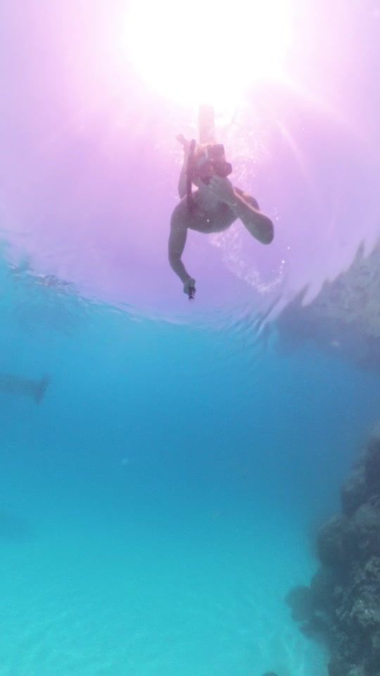 TikTok video thumbnail by _nickfry