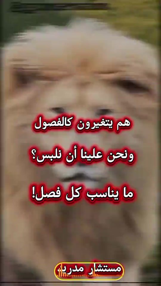 TikTok video thumbnail by 919_9196