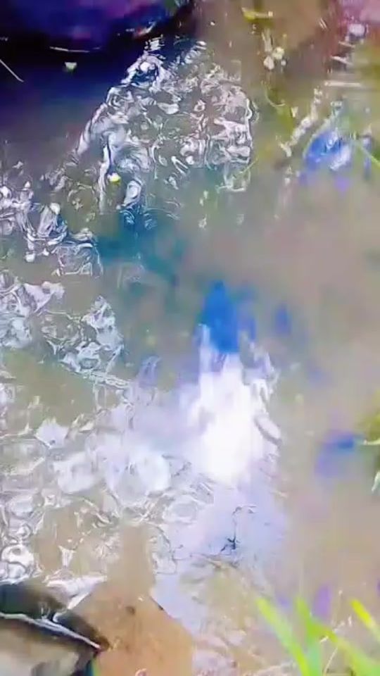 TikTok video thumbnail by sunilvikashniraj5