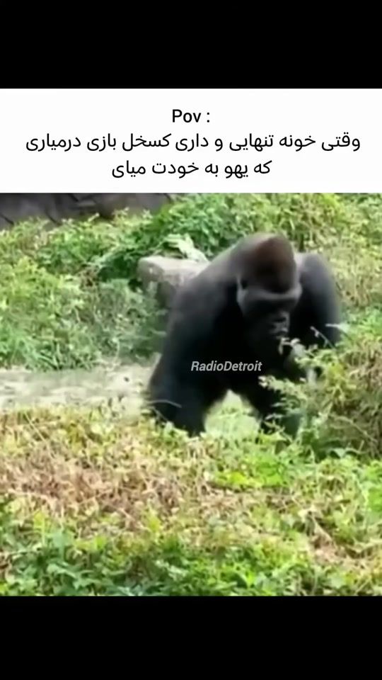TikTok video thumbnail by zeus_98288