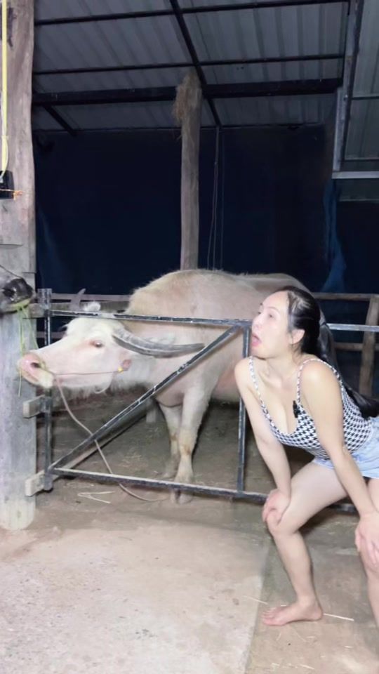 TikTok video thumbnail by aranyafram
