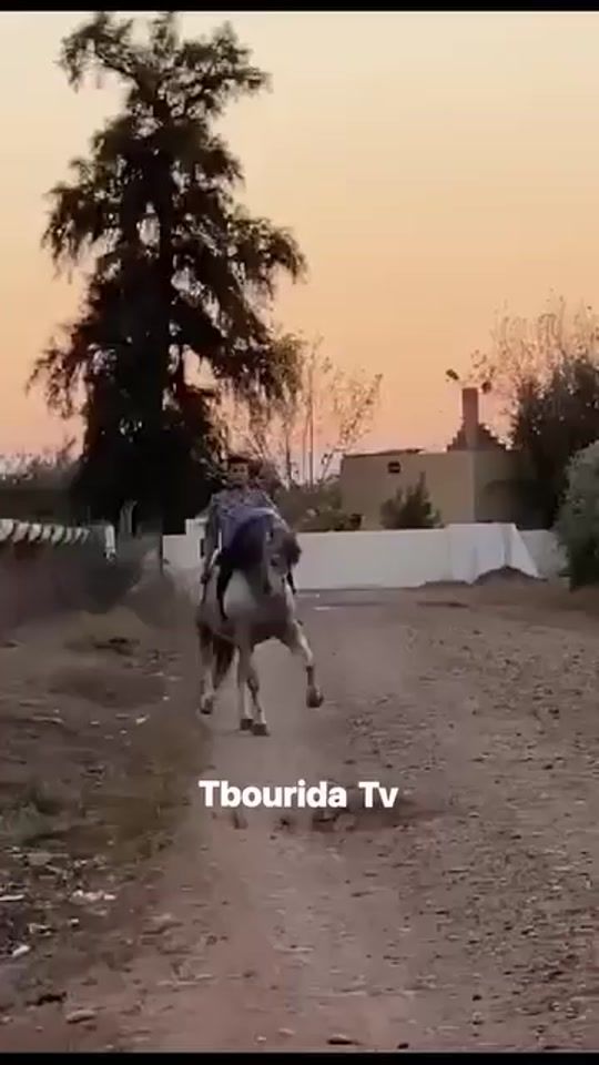 TikTok video thumbnail by mohamadsidi1