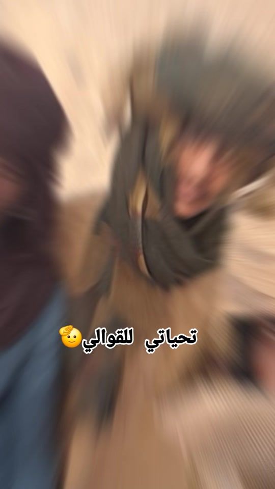 TikTok video thumbnail by uw3sb