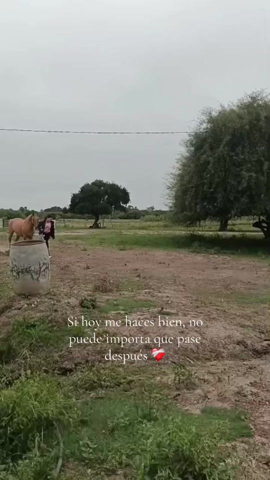 TikTok video thumbnail by melinabrites