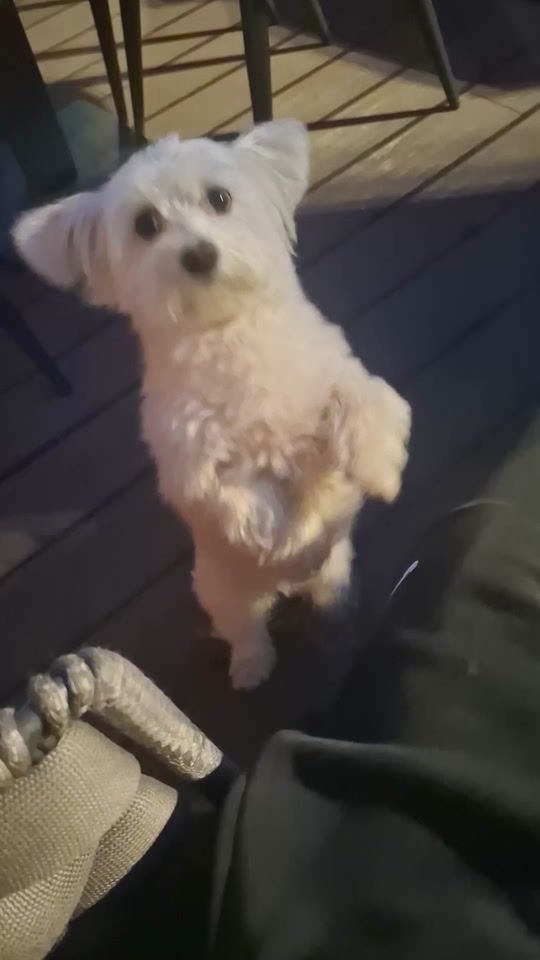 TikTok video thumbnail by davorbiletic