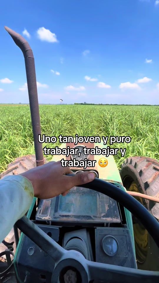 TikTok video thumbnail by jos3luis11