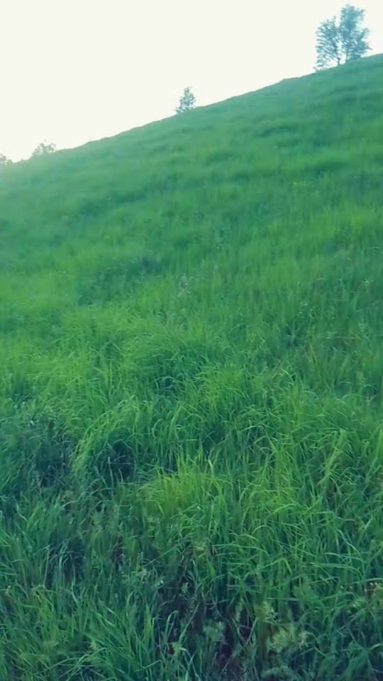 TikTok video thumbnail by alijon1009