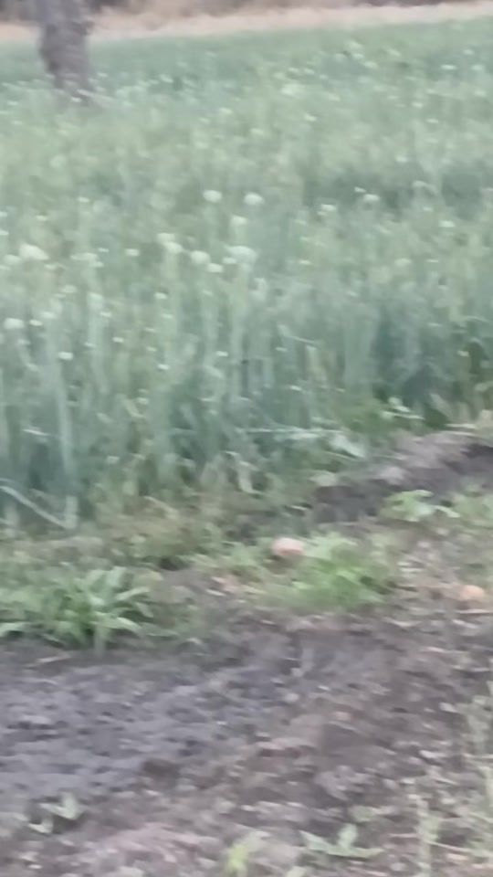 TikTok video thumbnail by ahouama