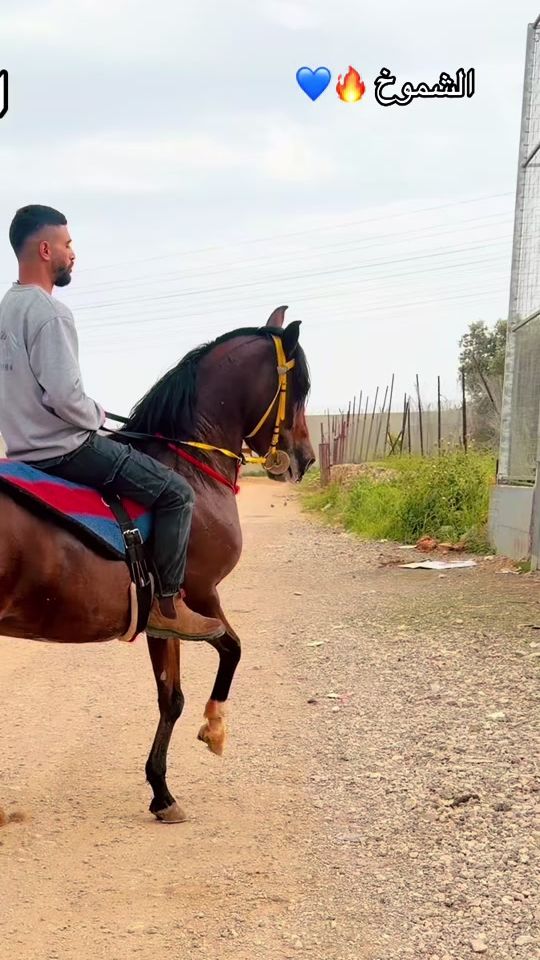 TikTok video thumbnail by yazan_kishe