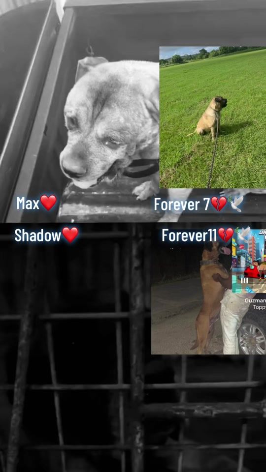 TikTok video thumbnail by akeiraq