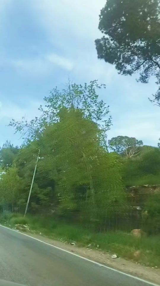 TikTok video thumbnail by zeinadib