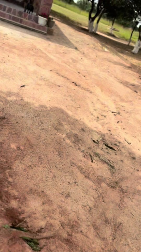 TikTok video thumbnail by zippo.kunda
