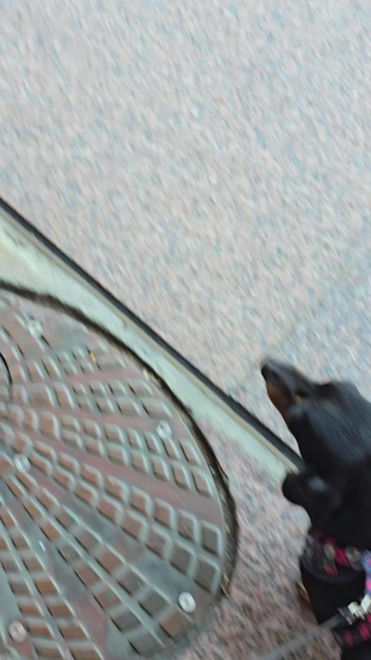 TikTok video thumbnail by imevilbenny