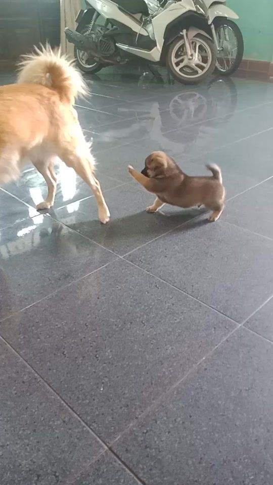 TikTok video thumbnail by lydiem197