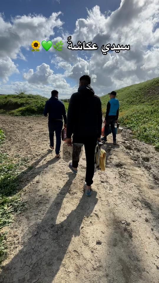 TikTok video thumbnail by hamid_mk122