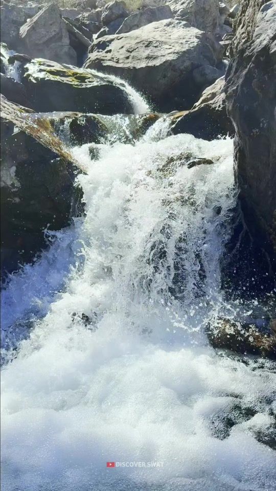 TikTok video thumbnail by discoverswat