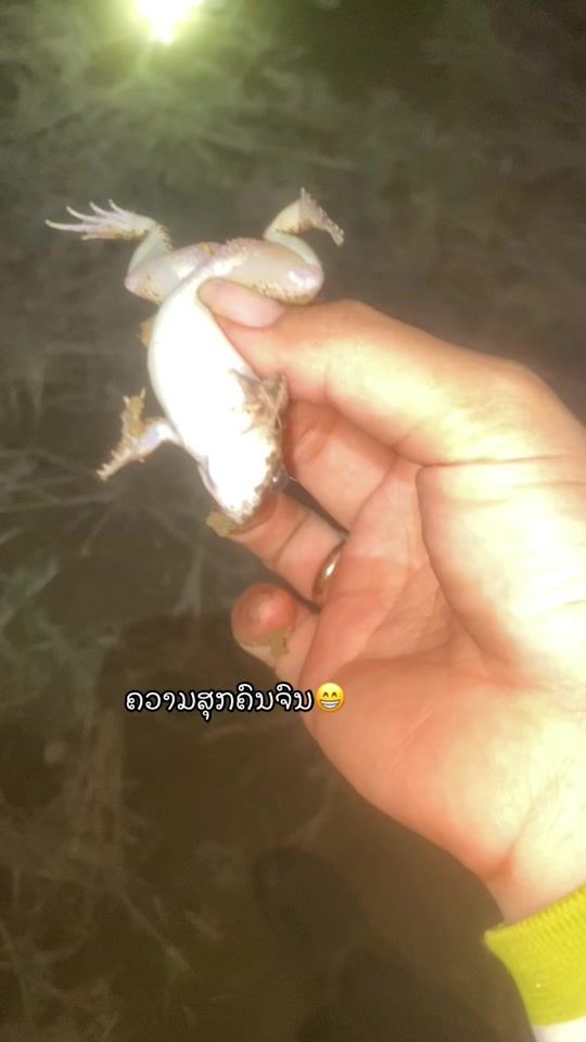 TikTok video thumbnail by touk12393