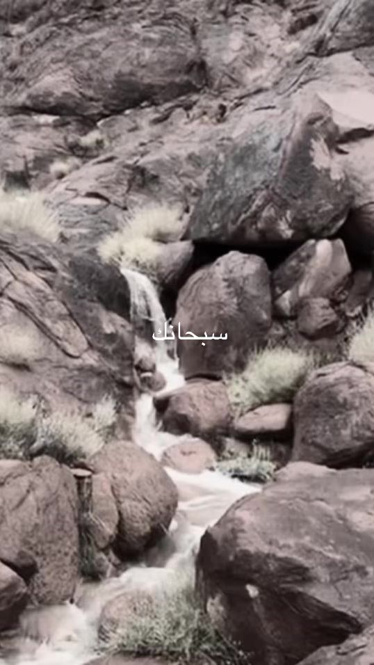 TikTok video thumbnail by .99982122