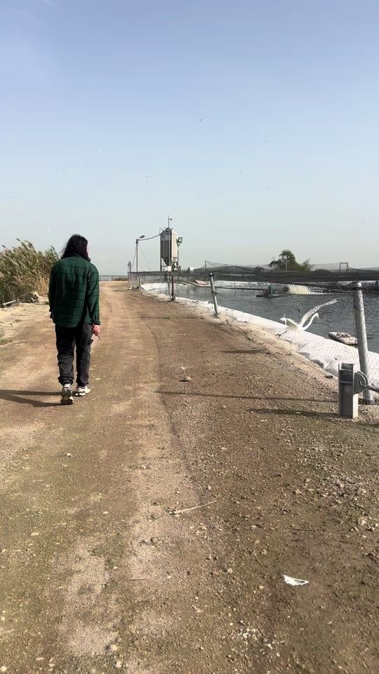TikTok video thumbnail by ofir_ben_hamo
