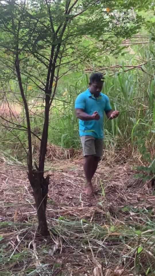 TikTok video thumbnail by sewmini.tubewells