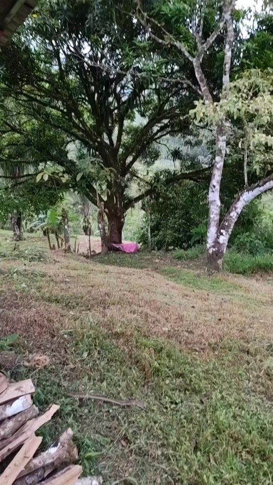 TikTok video thumbnail by franciscomormar