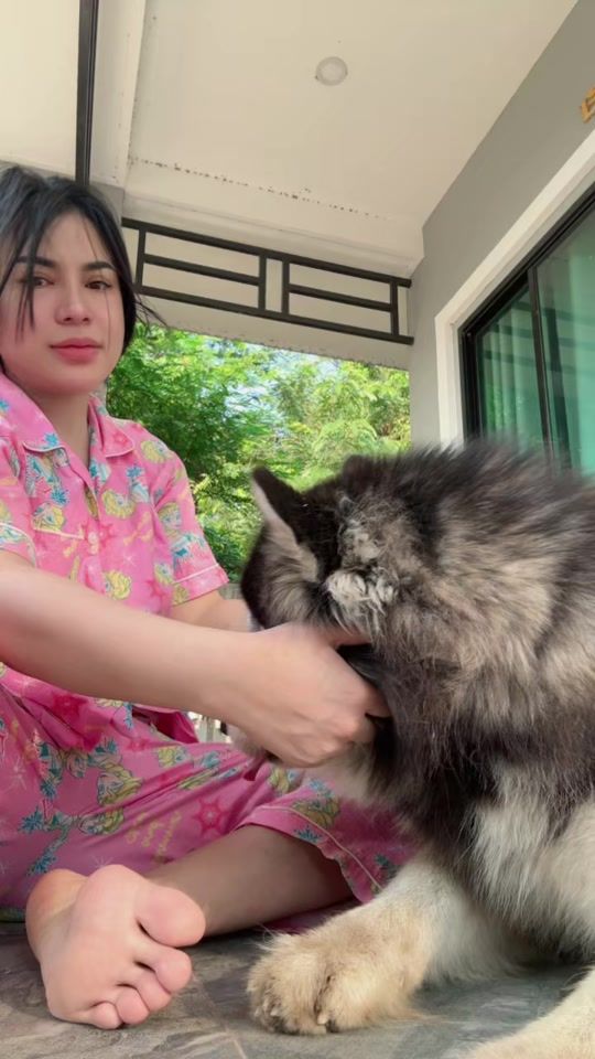 TikTok video thumbnail by aoingaey55