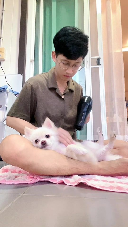 TikTok video thumbnail by art_hemmarach