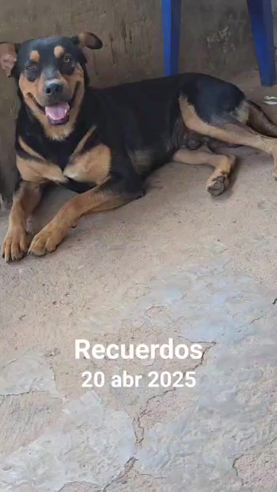 TikTok video thumbnail by estrella.fugaz34