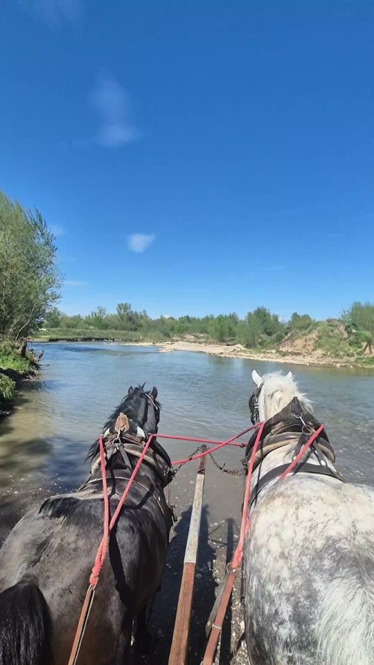 TikTok video thumbnail by radejeremic648