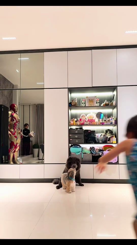 TikTok video thumbnail by luwinachong