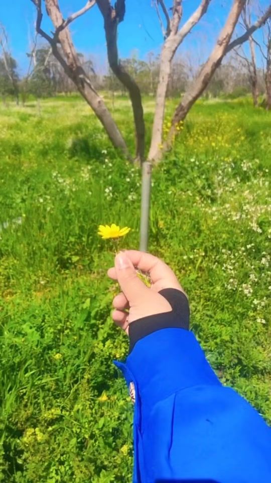 TikTok video thumbnail by ilis_nsos22