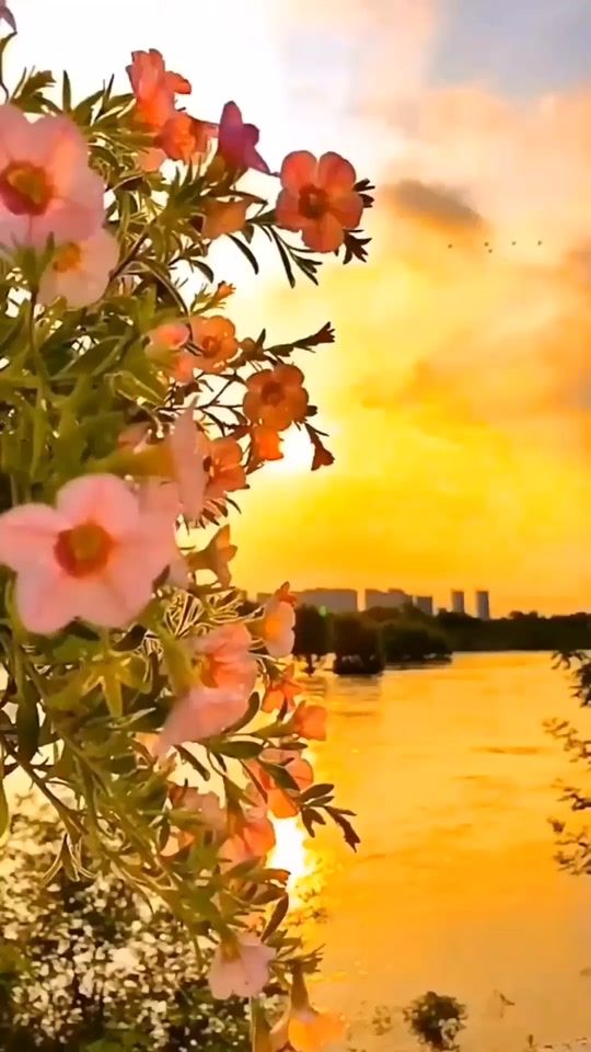 TikTok video thumbnail by apple_happy_smile