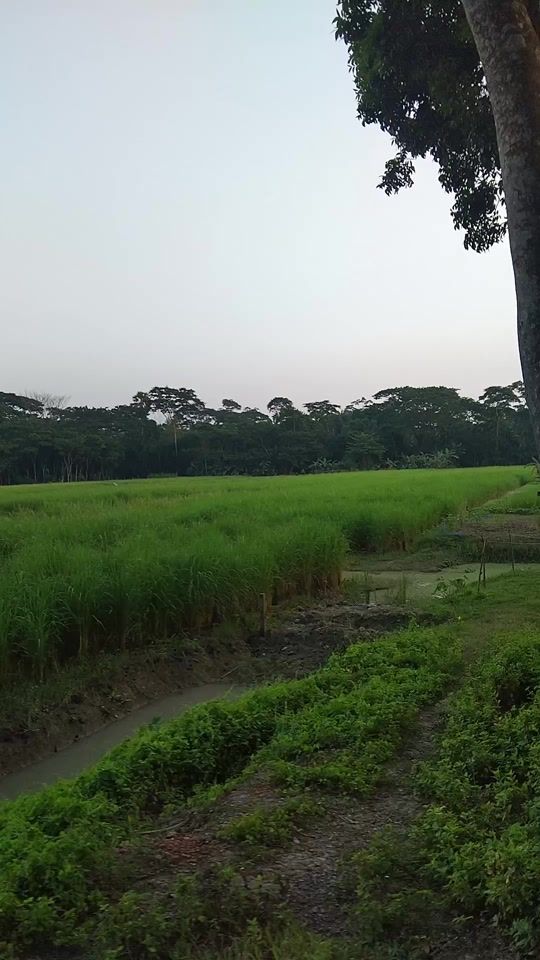 TikTok video thumbnail by raiyanliton229