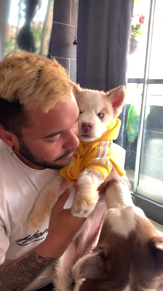 TikTok video thumbnail by mifamiliadehuskies