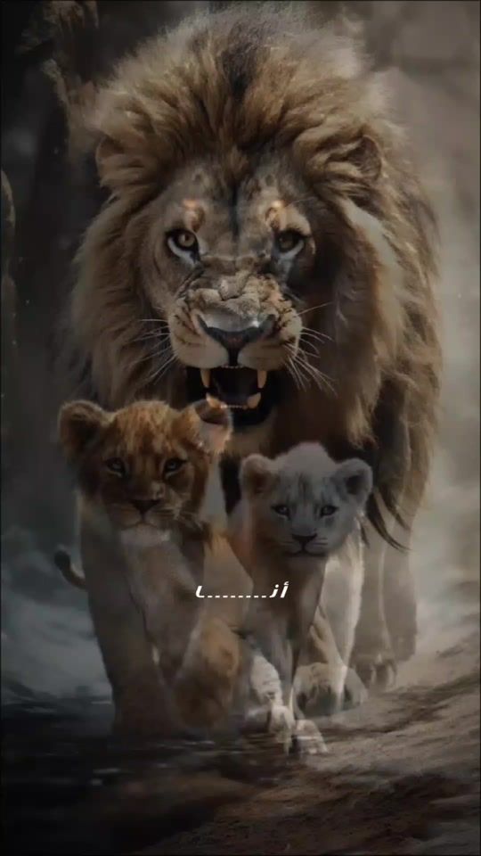 TikTok video thumbnail by ahmad_rami5