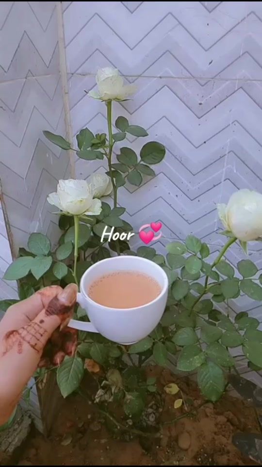 TikTok video thumbnail by hoor.mohammed.aks