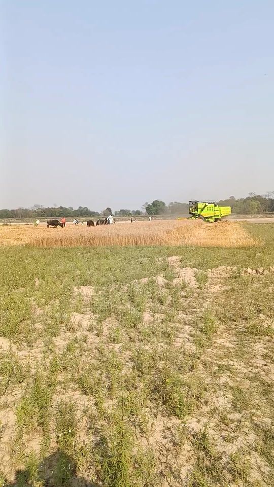 TikTok video thumbnail by amamuddin36