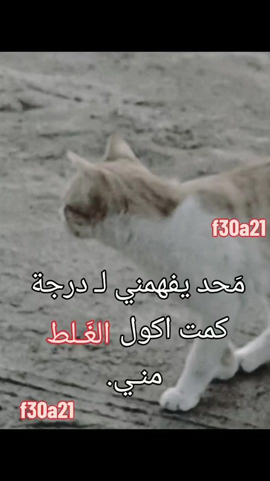 TikTok video thumbnail by f30a21