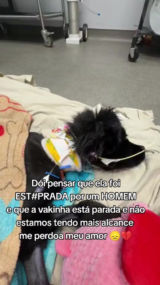 TikTok video thumbnail by salveaurora06