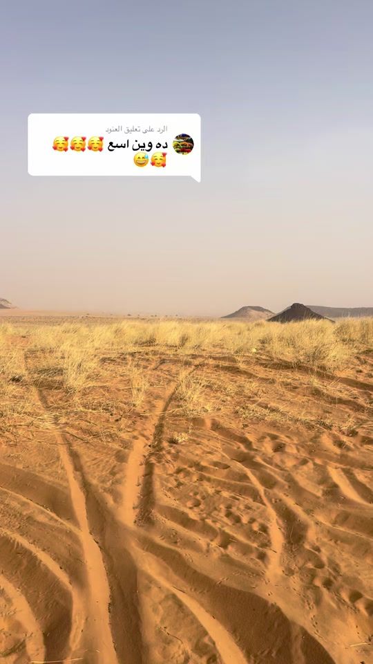 TikTok video thumbnail by salaha929