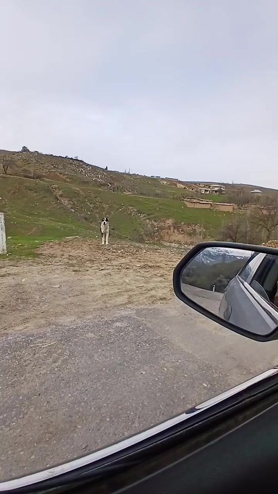 TikTok video thumbnail by meyliyev67