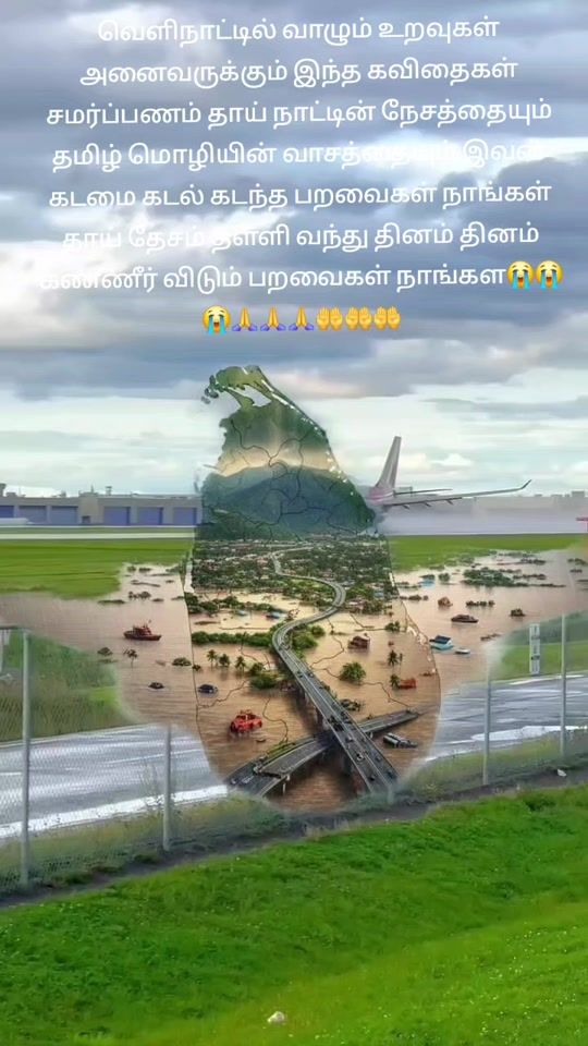 TikTok video thumbnail by user27434429026961