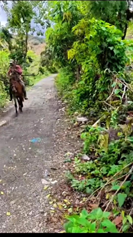 TikTok video thumbnail by mondey.dr