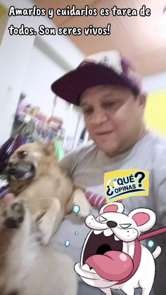 TikTok video thumbnail by ralitodigital