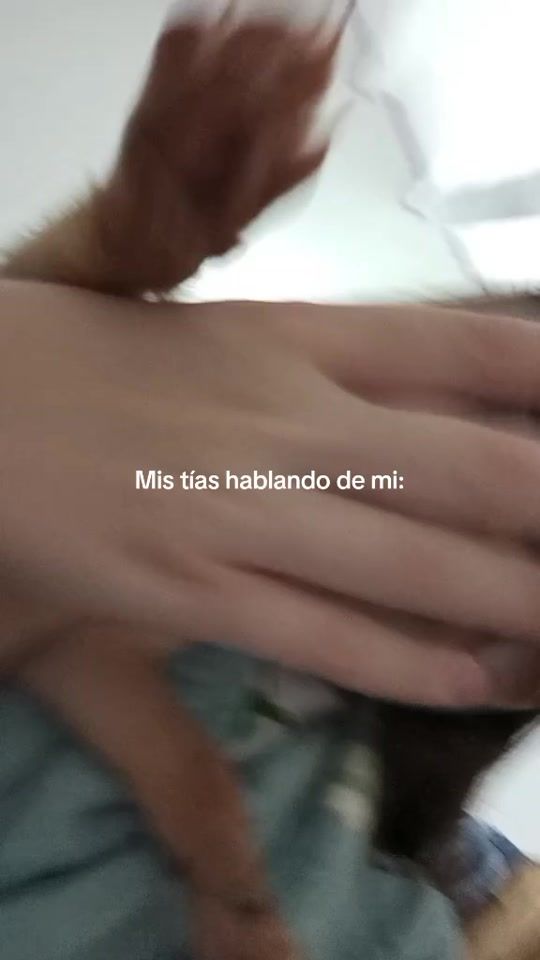 TikTok video thumbnail by solosoyyoalfinal